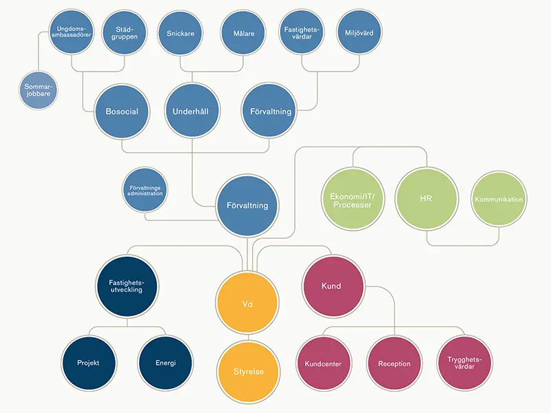 Organisationsschema